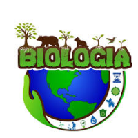 biologiatele2.milaulas.com